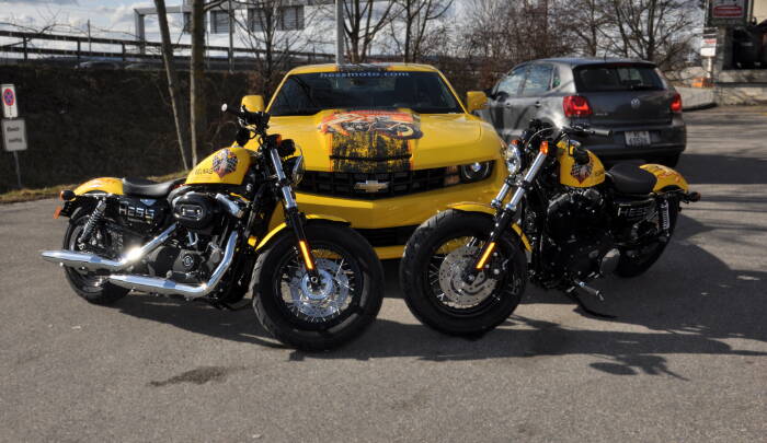 Harley.jpg Harley.jpg