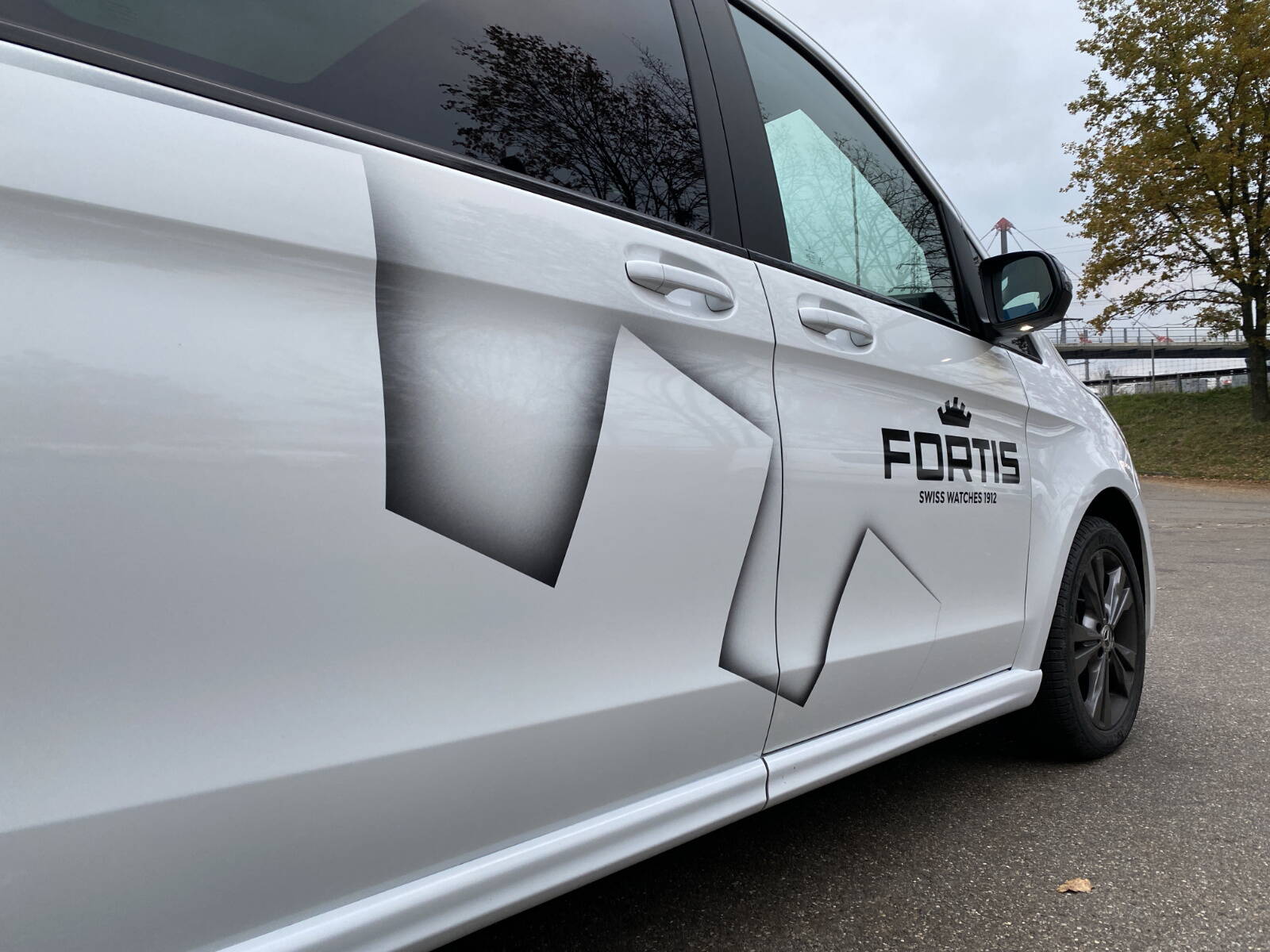 fortis.jpg fortis.jpg