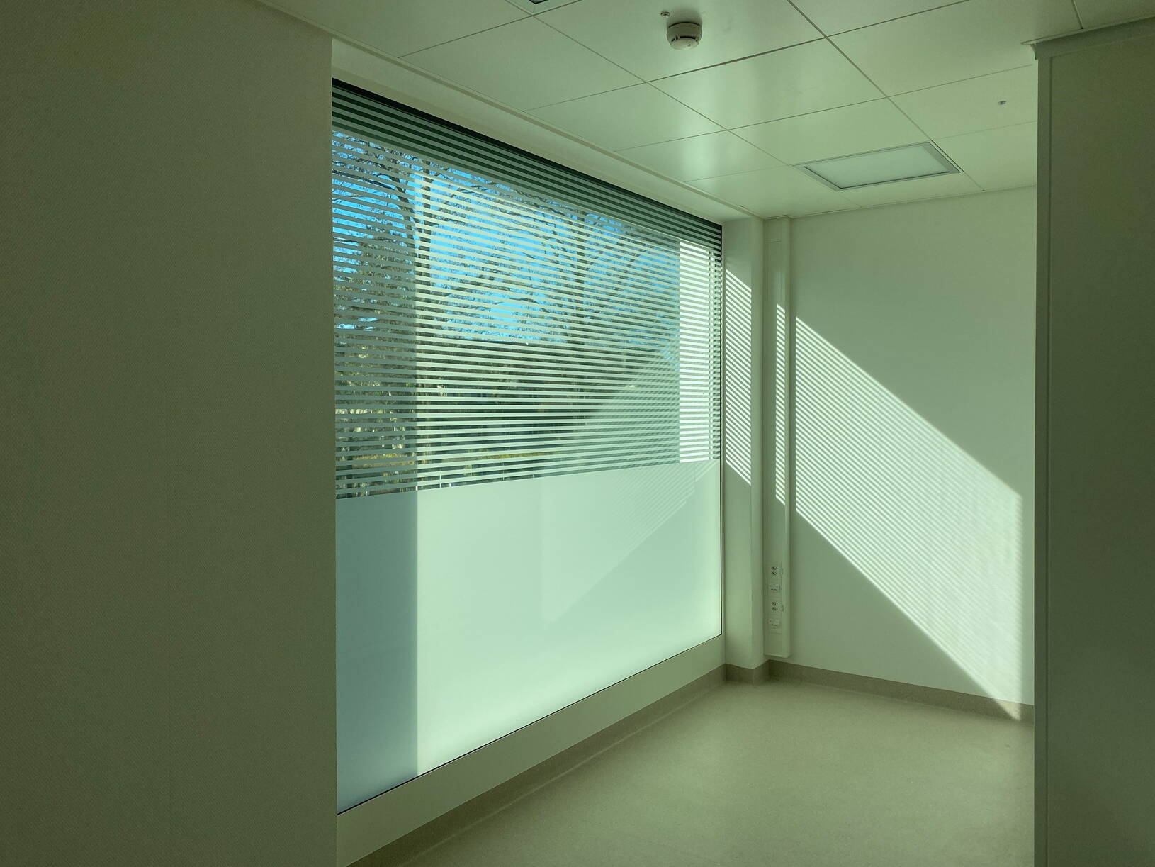 Frostfolie bedruckt.jpg Frostfolie bedruckt.jpg